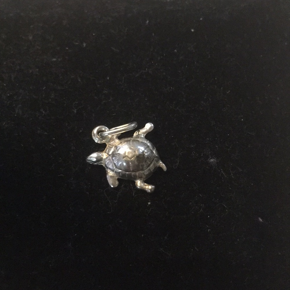 Turtle Charm - image 1